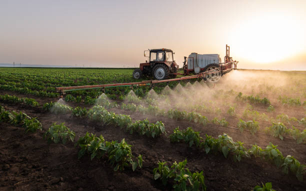 Reliable Arcola, IL Pest Control Solutions