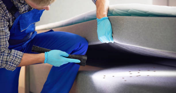 Best Affordable Pest Control Services  in Arcola, IL