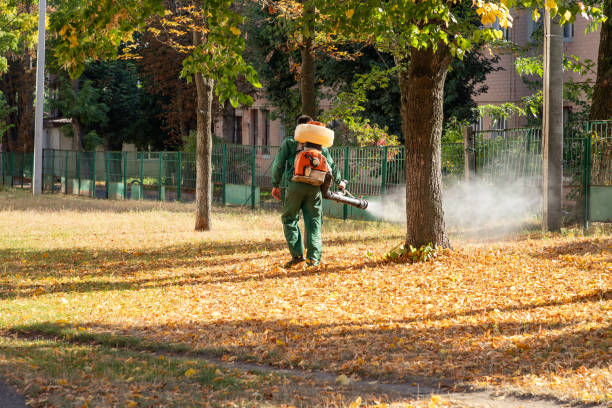 Best Exterminator Services  in Arcola, IL