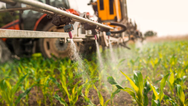 Best Best Pest Control Companies  in Arcola, IL