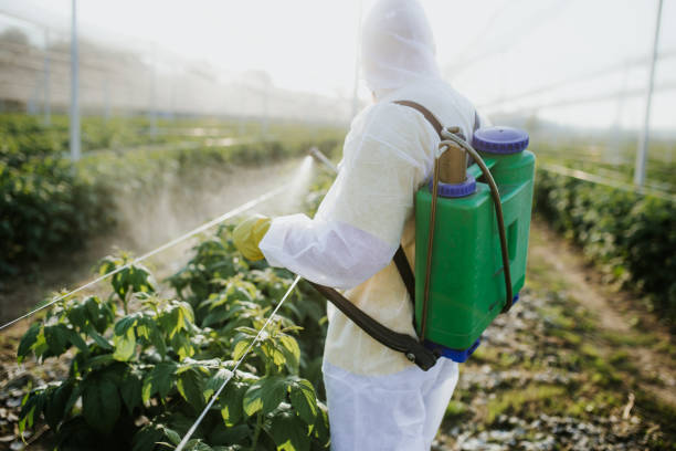 Best Bed Bug Extermination  in Arcola, IL